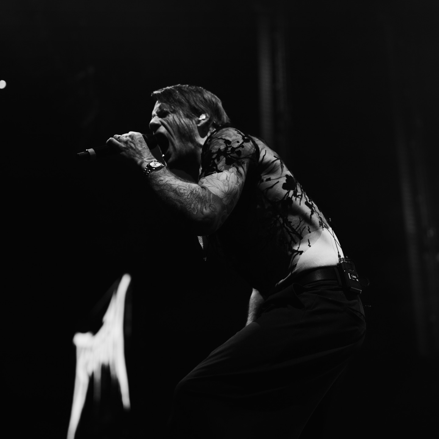 Beartooth